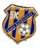 S. K. Banik Ratiskovice